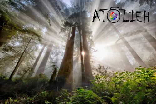 مثلث قدرت در عکاسی