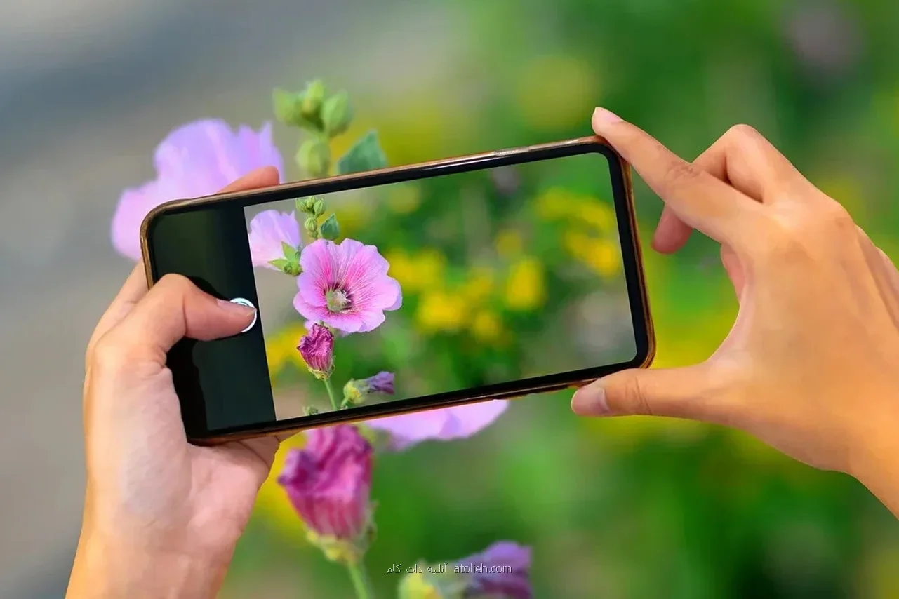 نکات حرفه ای برای عکاسی اعجاب انگیز از طبیعت با موبایل