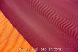 عکاسی طبیعت انتزاعی